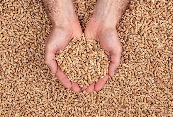 Premium Biomass Pellets